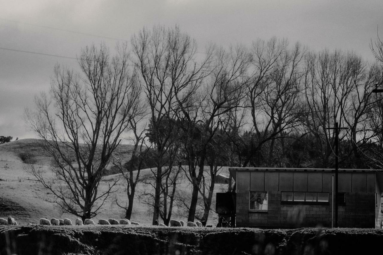 Wallingford Homestead Eksteriør billede