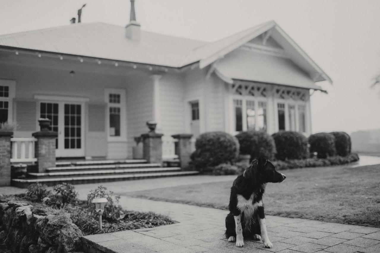 Wallingford Homestead Eksteriør billede