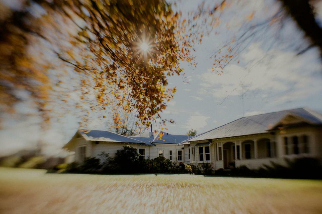 Wallingford Homestead Eksteriør billede